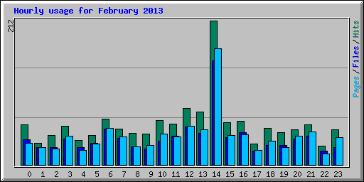 Hourly usage for February 2013